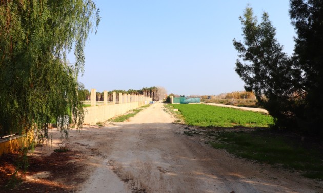 Resale - Country House - Daya Vieja