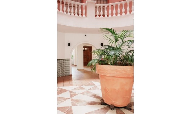 Herverkoop - Apartment - Torrevieja - Playa Los Locos
