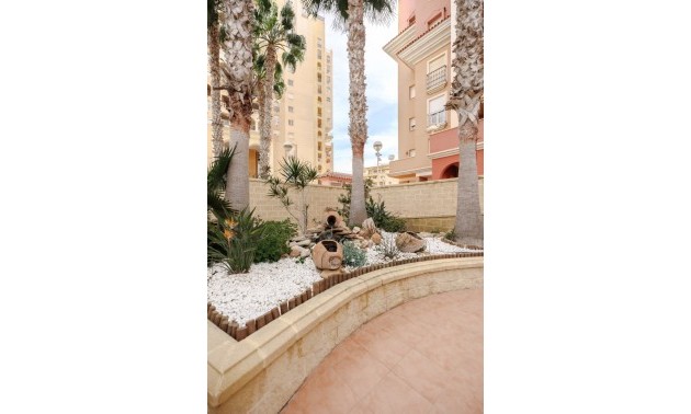 Herverkoop - Apartment - Torrevieja - Playa Los Locos