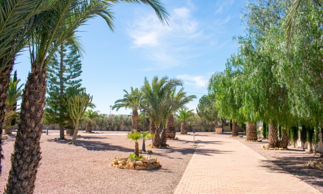 Herverkoop - Villa - Elche - La Marina