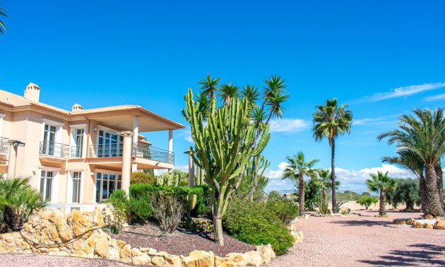 Herverkoop - Villa - Elche - La Marina