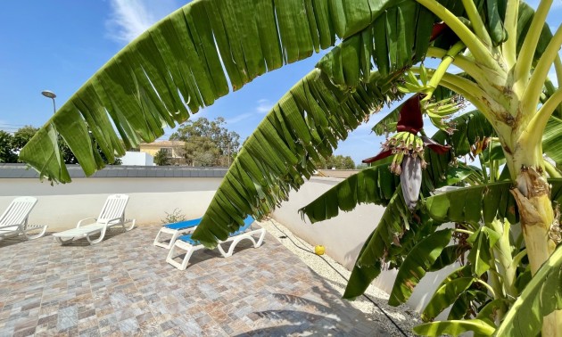 Herverkoop - Villa - Torrevieja - Los Balcones