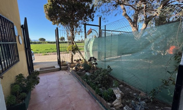 Revente - Country House - Guardamar del Segura