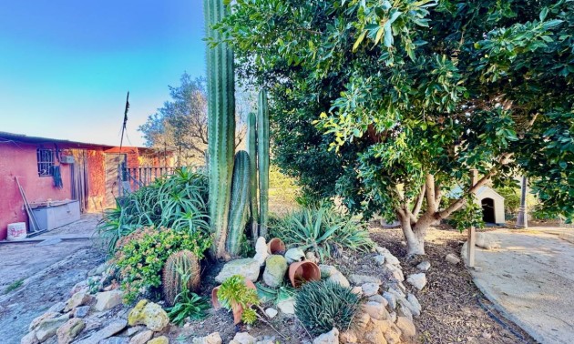 Revente - Country House - Guardamar del Segura