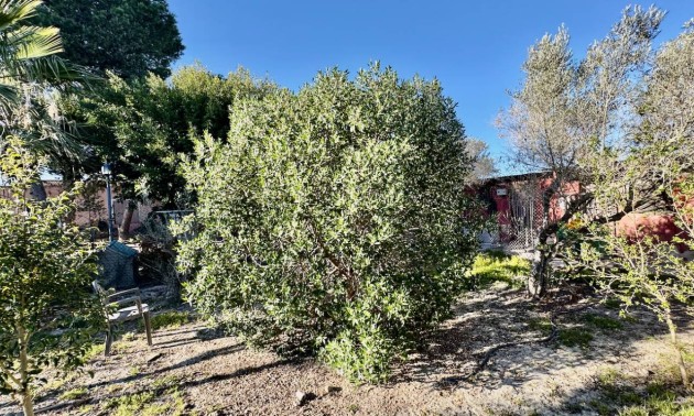 Revente - Country House - Guardamar del Segura