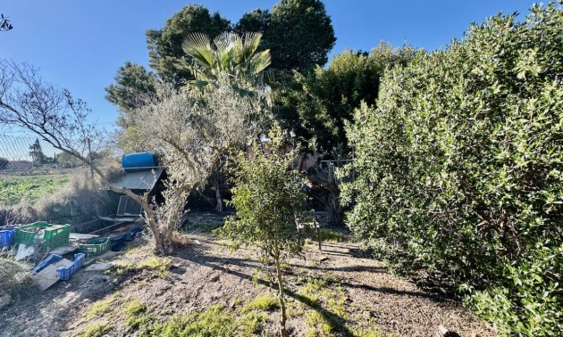 Revente - Country House - Guardamar del Segura