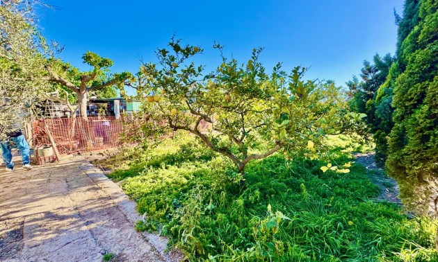 Revente - Country House - Guardamar del Segura