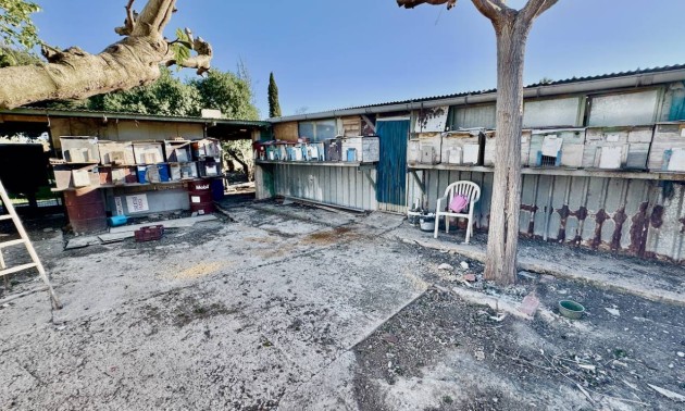 Revente - Country House - Guardamar del Segura