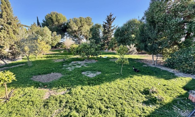 Revente - Country House - Guardamar del Segura