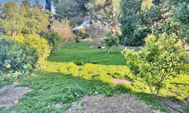 Revente - Country House - Guardamar del Segura