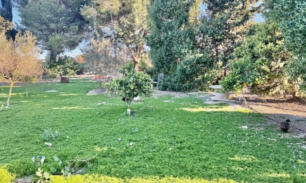 Revente - Country House - Guardamar del Segura