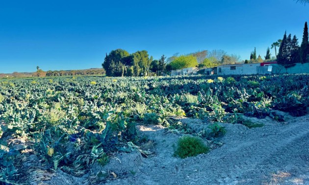 Revente - Country House - Guardamar del Segura