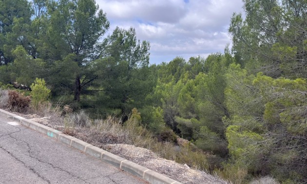 Herverkoop - Land - Altea - Sierra de Altea
