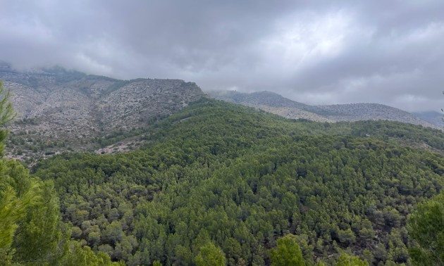 Herverkoop - Land - Altea - Sierra de Altea