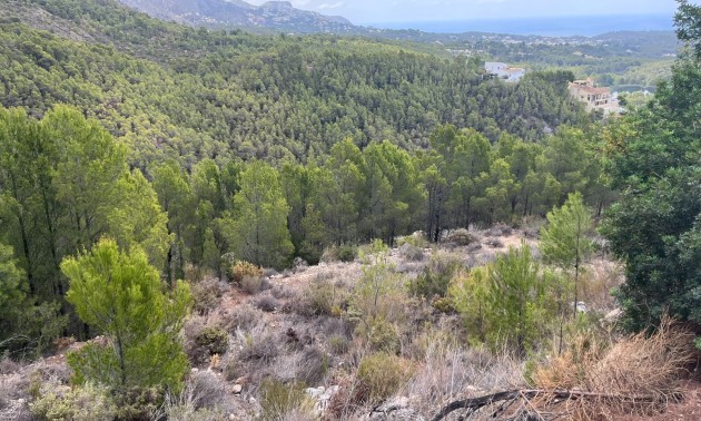 Herverkoop - Land - Altea - Sierra de Altea