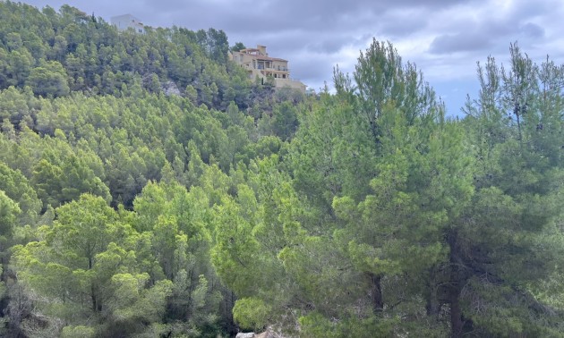 Herverkoop - Land - Altea - Sierra de Altea