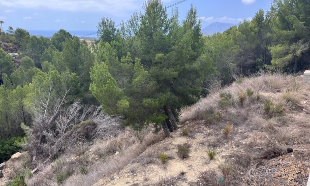 Herverkoop - Land - Altea - Sierra de Altea