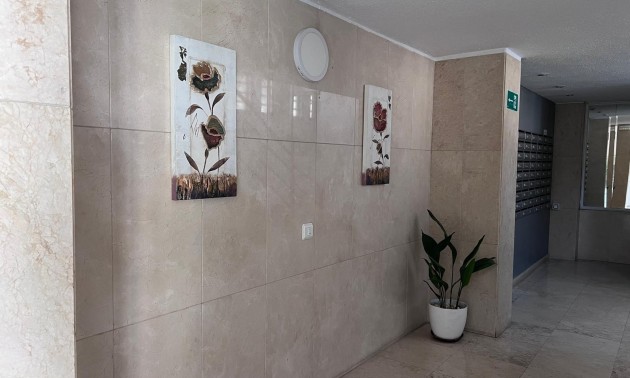Herverkoop - Apartment - Benidorm - Levante
