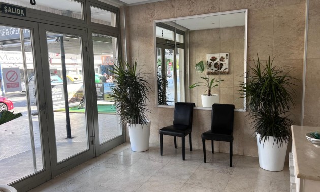 Herverkoop - Apartment - Benidorm - Levante