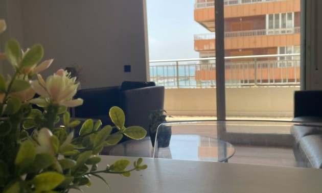 Resale - Apartment - Torrevieja