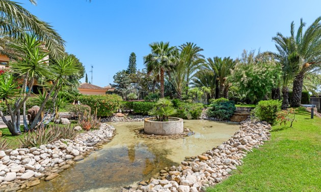 Herverkoop - Villa - Elche