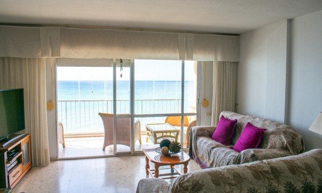 Herverkoop - Apartment - Torrevieja - Center