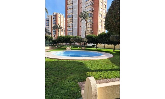 Herverkoop - Apartment - Benidorm - Colonia Madrid