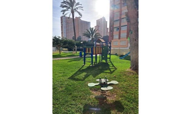 Herverkoop - Apartment - Benidorm - Colonia Madrid