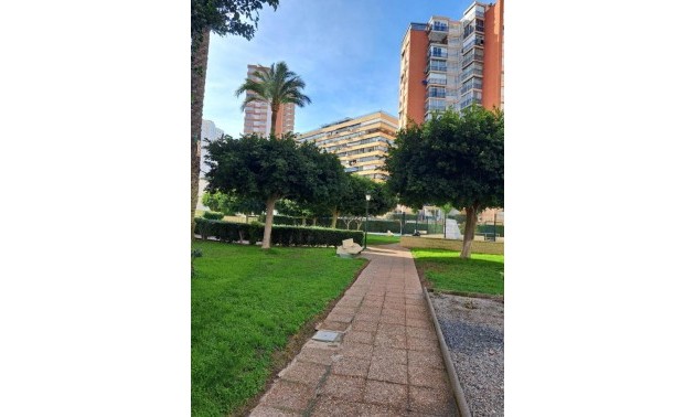 Herverkoop - Apartment - Benidorm - Colonia Madrid