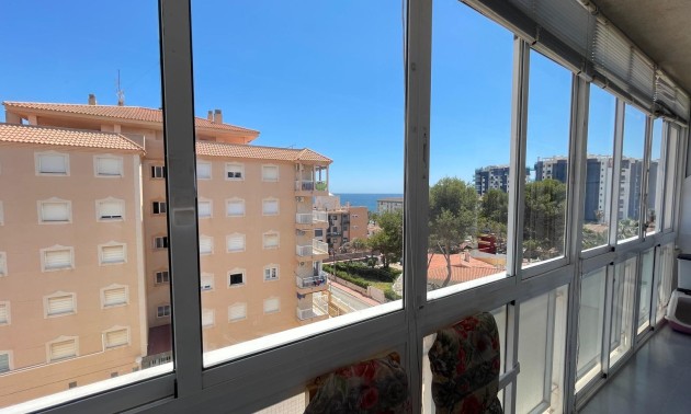 Revente - Apartment - Punta Prima
