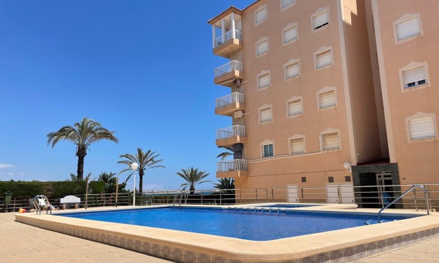 Revente - Apartment - Punta Prima