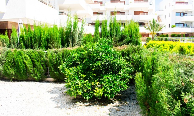 Herverkoop - Apartment - Orihuela Costa - Cabo Roig