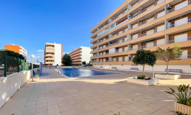 Herverkoop - Apartment - Torrevieja - Punta Prima