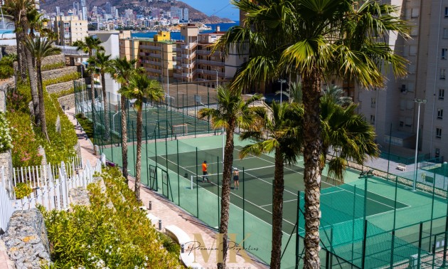 Herverkoop - Apartment - Benidorm - Playa Poniente