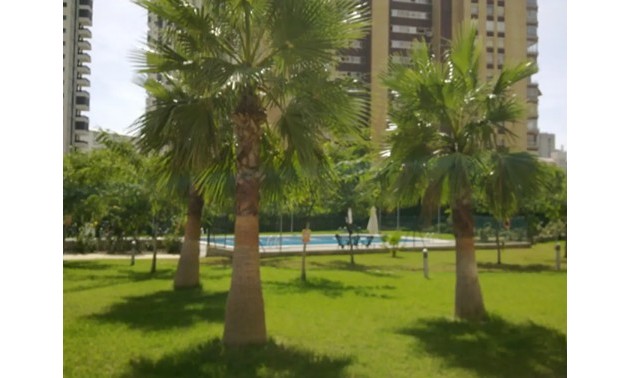 Herverkoop - Apartment - Benidorm - Levante