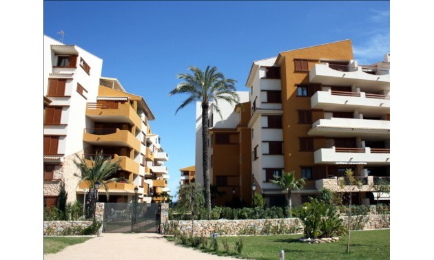 Herverkoop - Apartment - Orihuela Costa - Punta Prima