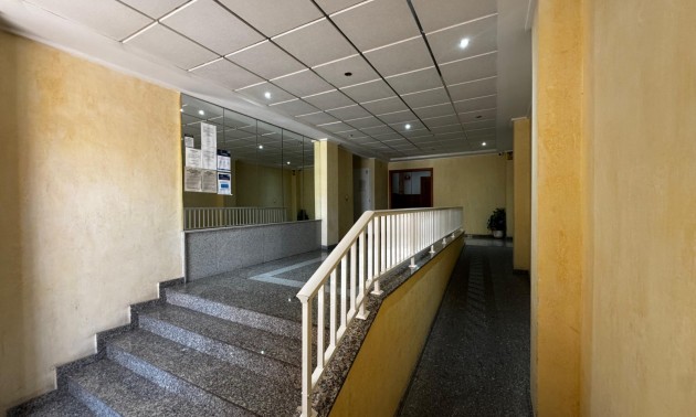 Herverkoop - Apartment - Torrevieja - Torrevieja Centro