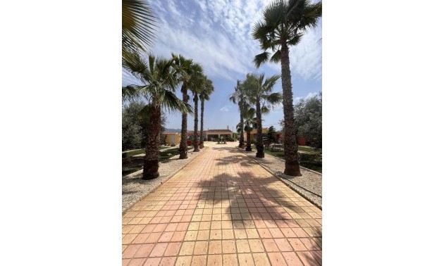 Resale - Country House - Fortuna