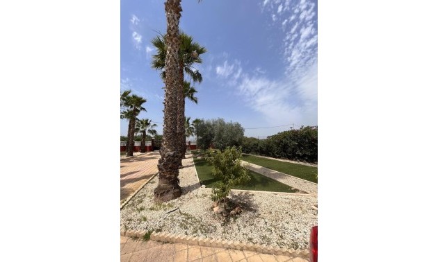 Resale - Country House - Fortuna