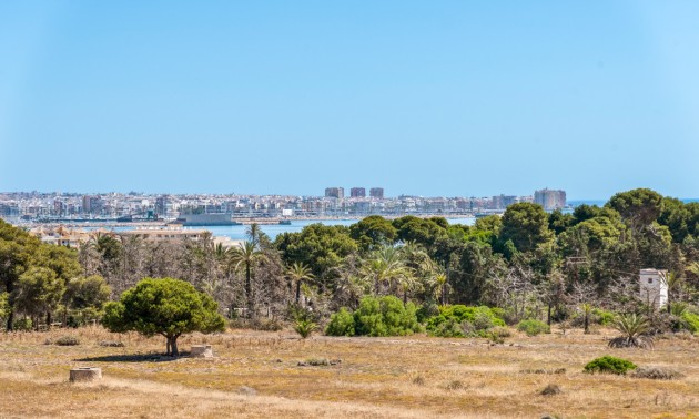 Herverkoop - Apartment - Orihuela Costa - Punta Prima