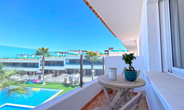 Revente - Maison de ville - Torrevieja - Los Balcones - Los Altos del Edén