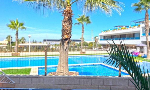 Revente - Maison de ville - Torrevieja - Los Balcones - Los Altos del Edén