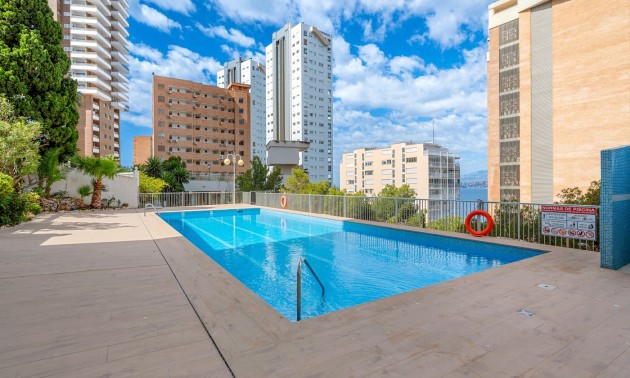 Herverkoop - Apartment - Benidorm* - Levante*