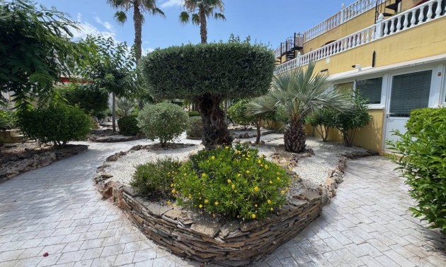 Herverkoop - Villa - Algorfa - Lo Crispin
