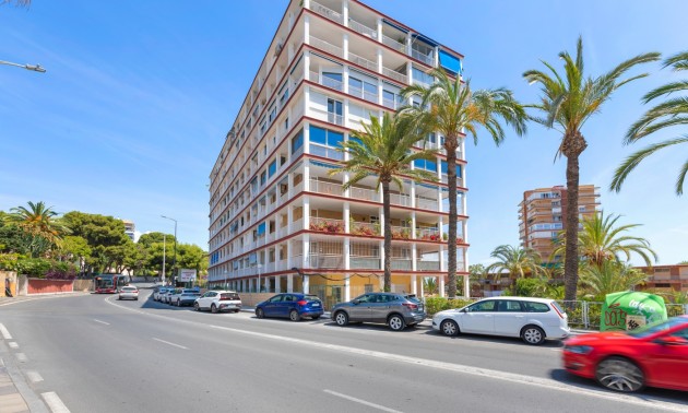 Revente - Apartment - Alicante