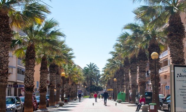 Herverkoop - Land - Guardamar del Segura - Pueblo