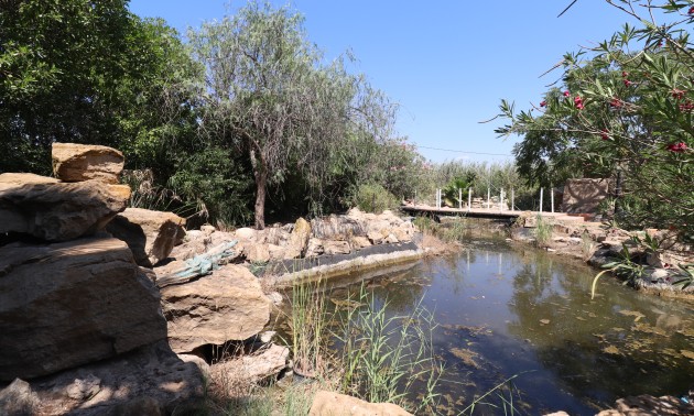 Resale - Country House - Catral - Catral - Country