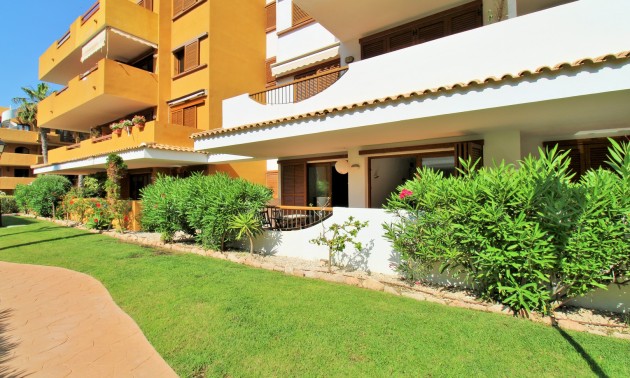 Revente - Apartment - Punta Prima