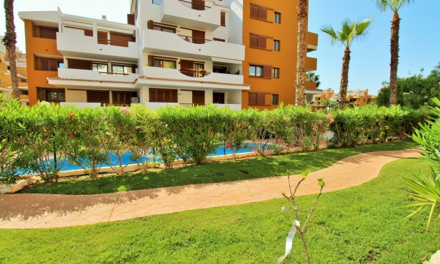 Revente - Apartment - Punta Prima