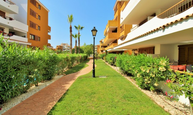 Revente - Apartment - Punta Prima